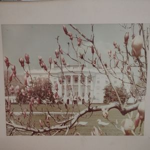 Print White House Washington D.C. Vintage. Reproduction